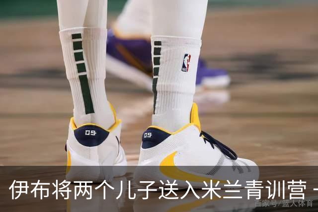 伊布将两个儿子送入米兰青训营 一个U17一个U15
